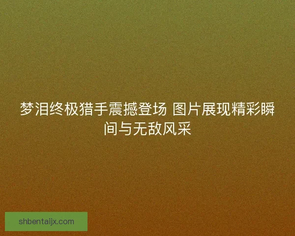梦泪终极猎手震撼登场 图片展现精彩瞬间与无敌风采