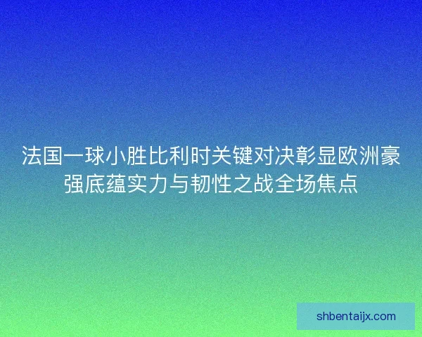 法国一球小胜比利时关键对决彰显欧洲豪强底蕴实力与韧性之战全场焦点